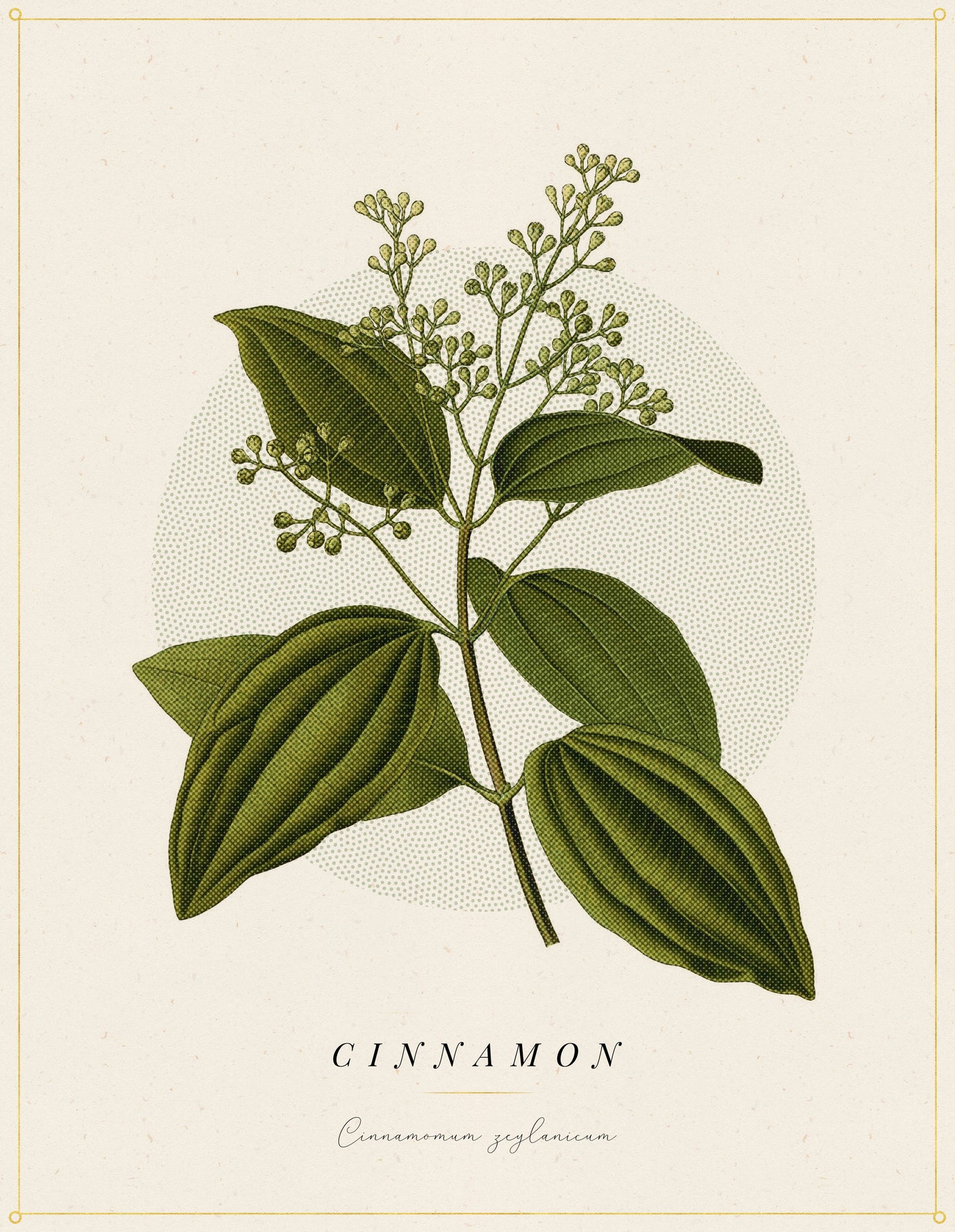 Flower Poster 1