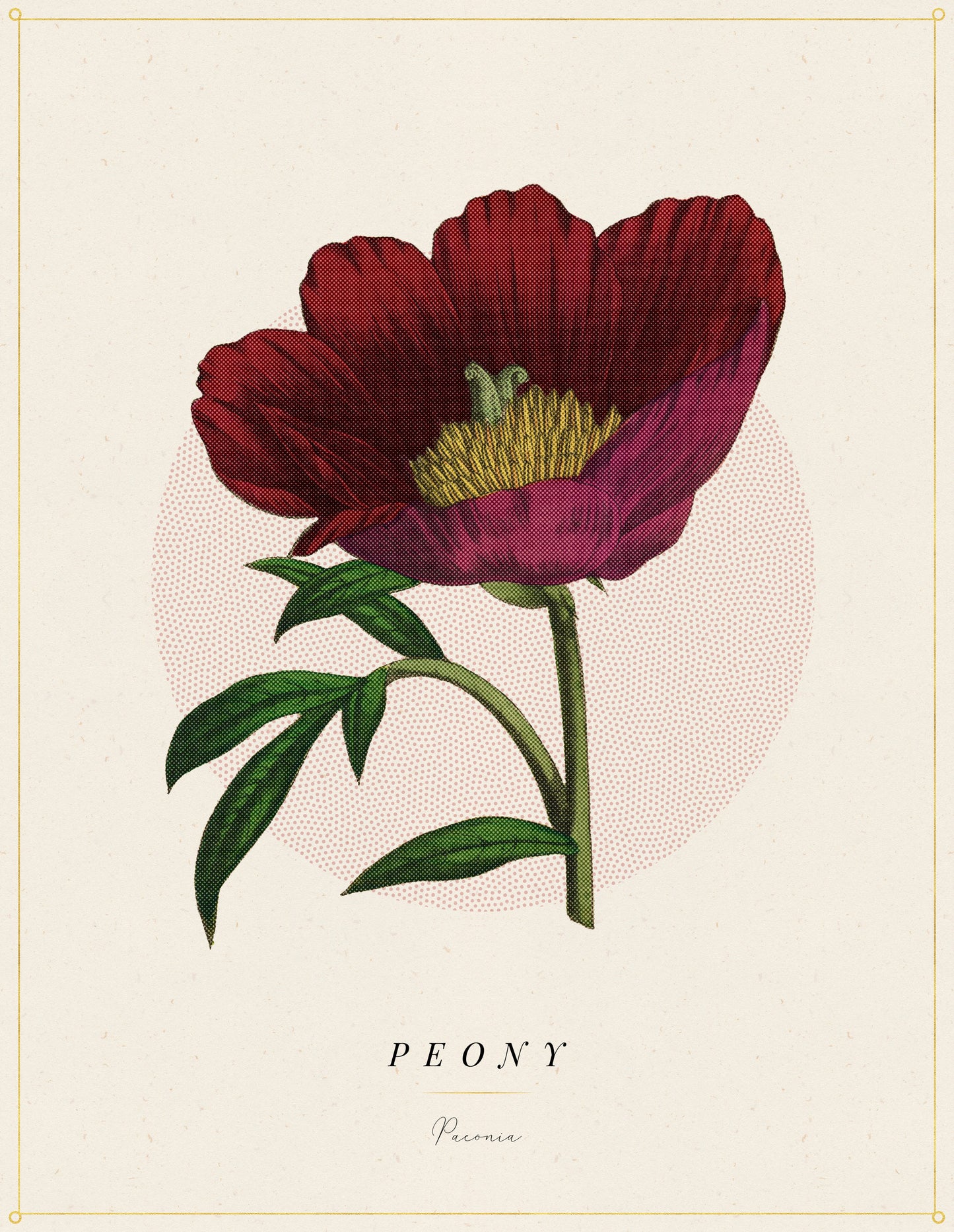 Flower Poster 1