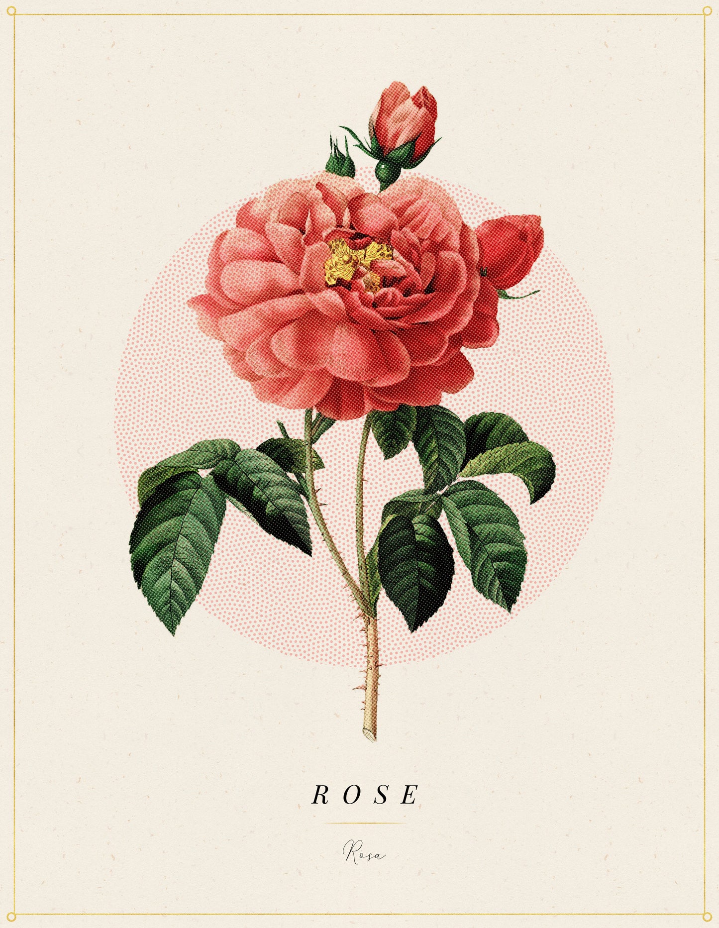 Flower Poster 1