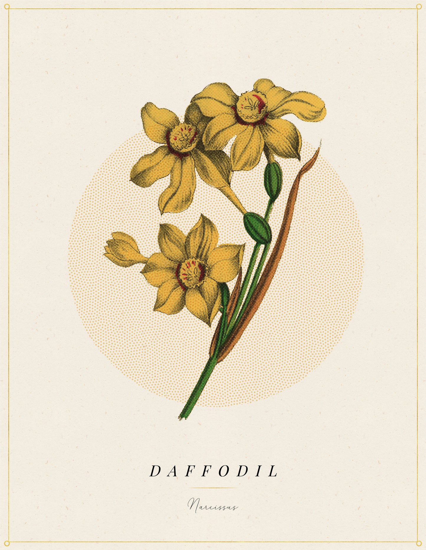 Flower Poster 1