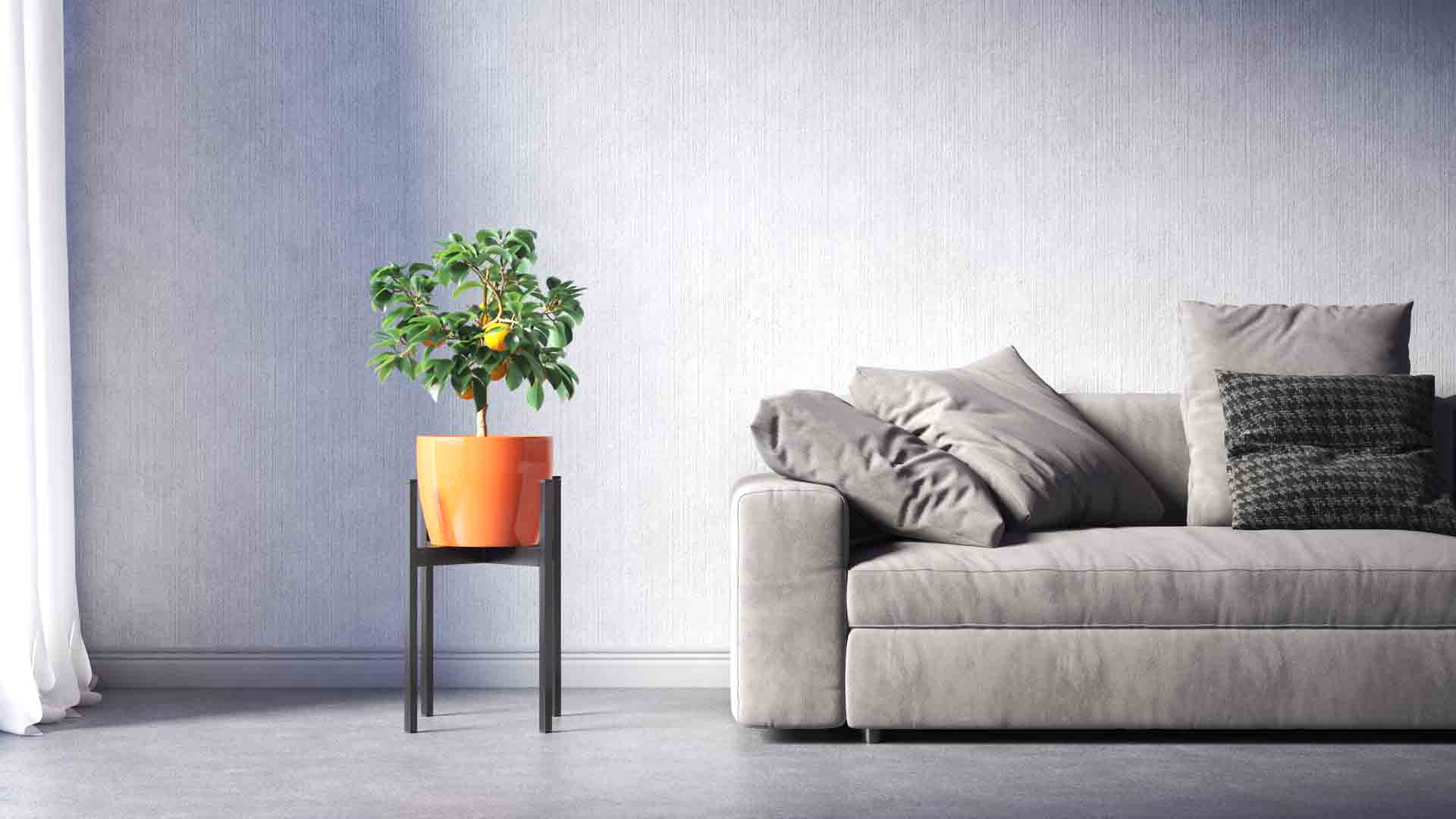 Plus Planter Stand