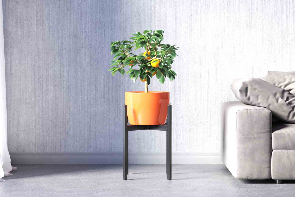 Plus Planter Stand