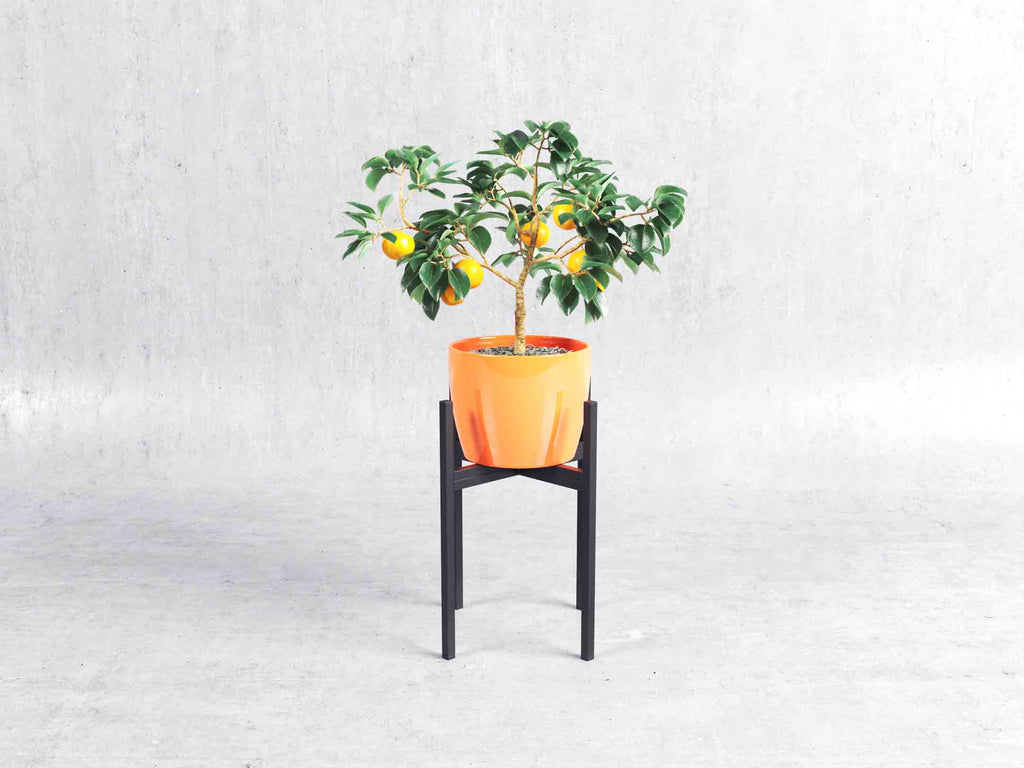 Plus Planter Stand