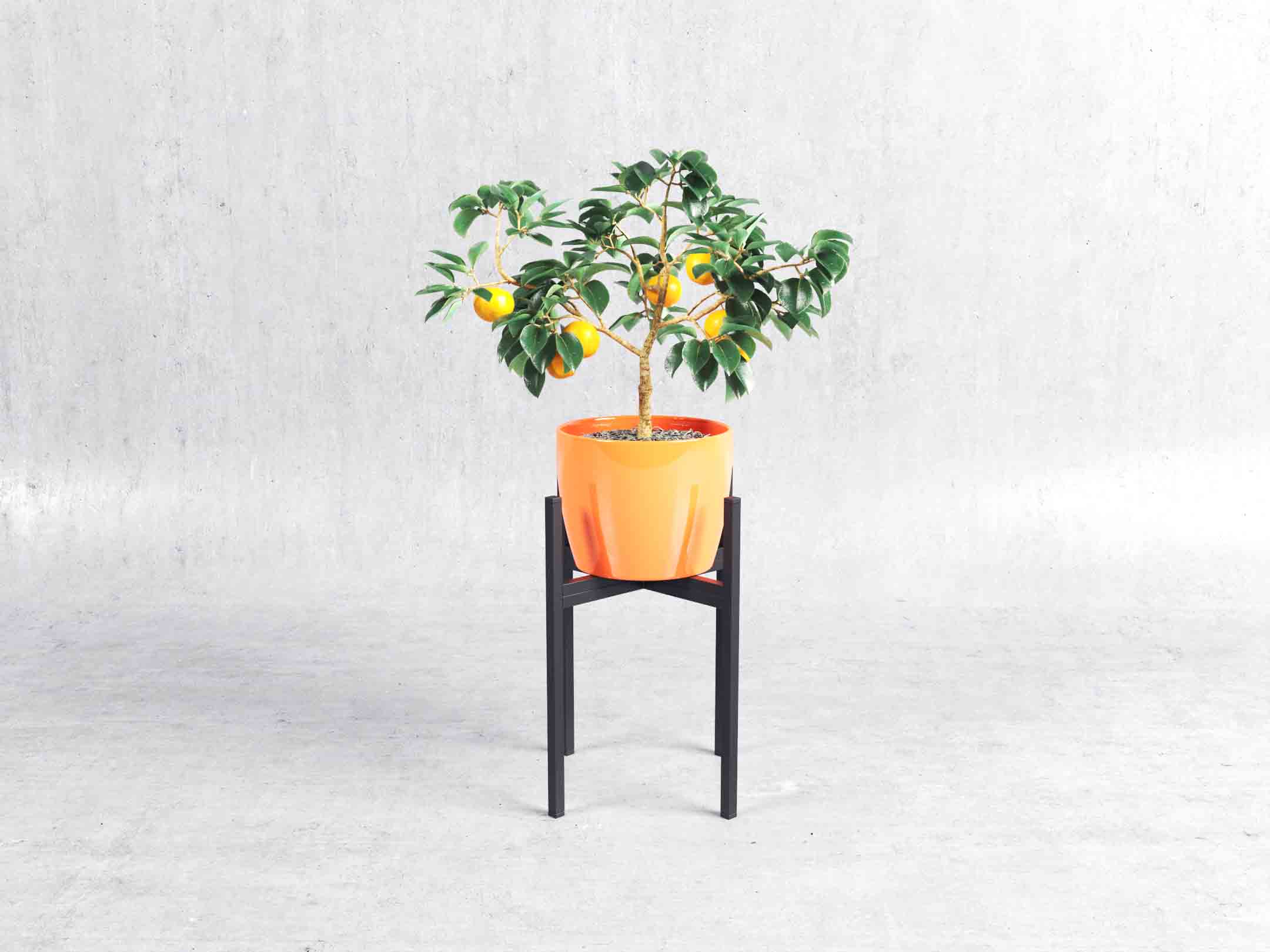 Plus Planter Stand