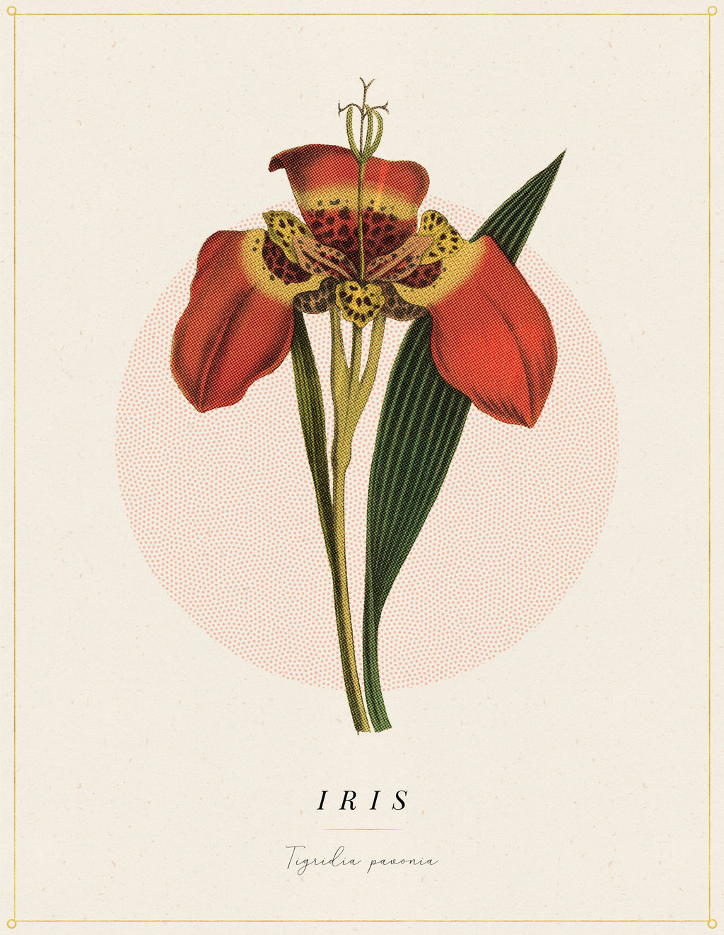 Flower Poster 1