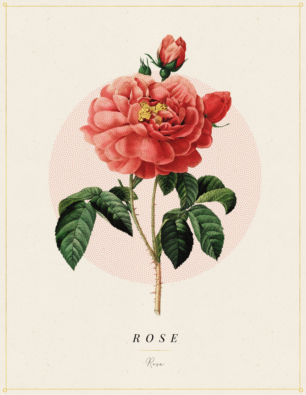Flower Poster 1