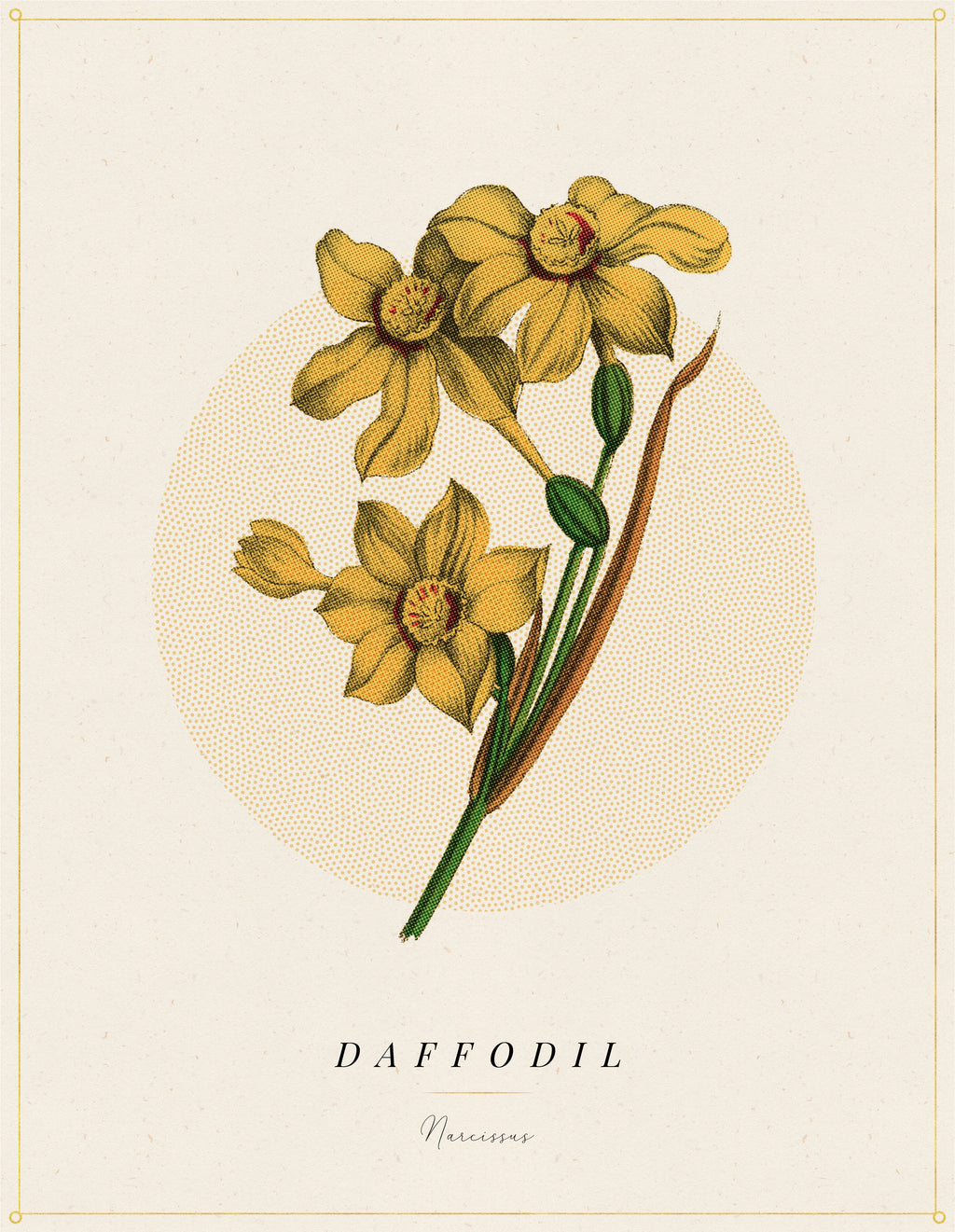 Flower Poster 1